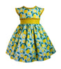 Vintage Ethel Lemonade Dress - Little Miss Marmalade