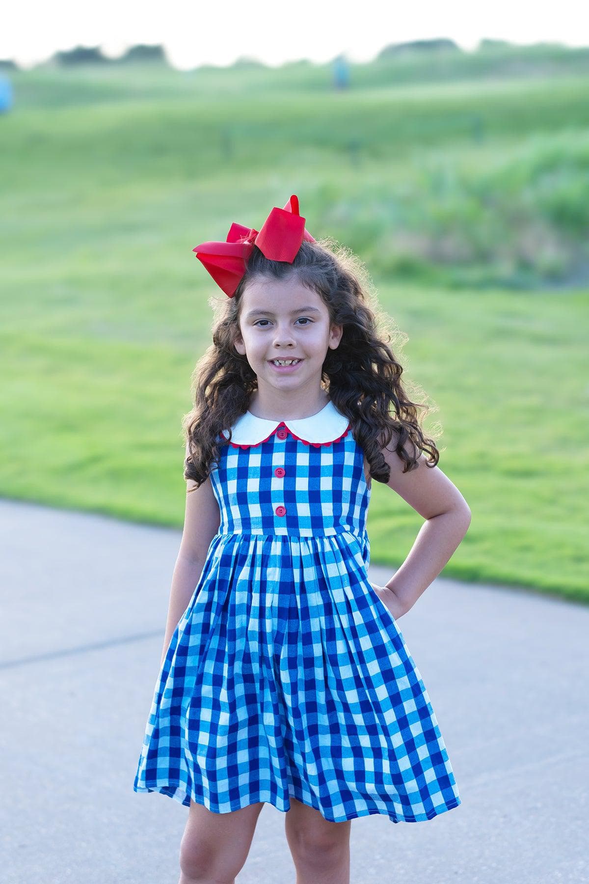 Vintage Alabama Gingham Dress July 4th Holiday 7 Vintage Alabama Gingham Dress July 4th Holiday 7