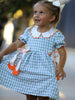 Fall Plaid Girls Dress Pumpkin Bow Smocked Peter Pan Collar
