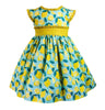 Vintage Ethel Lemonade Dress - Little Miss Marmalade